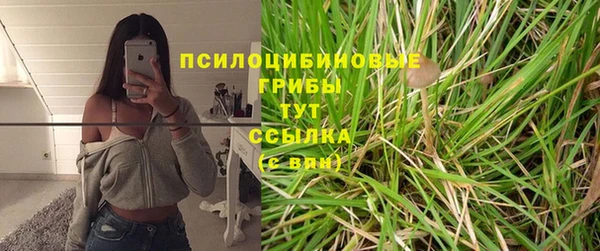 дурь Алексеевка