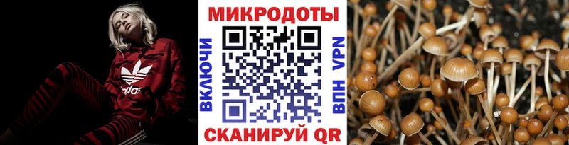 Псилоцибиновые грибы мицелий  Оса 